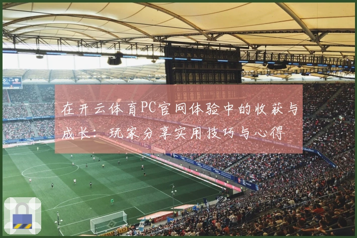 在开云体育PC官网体验中的收获与成长：玩家分享实用技巧与心得